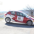 Rallye du Pays du Gier 2013 (50)